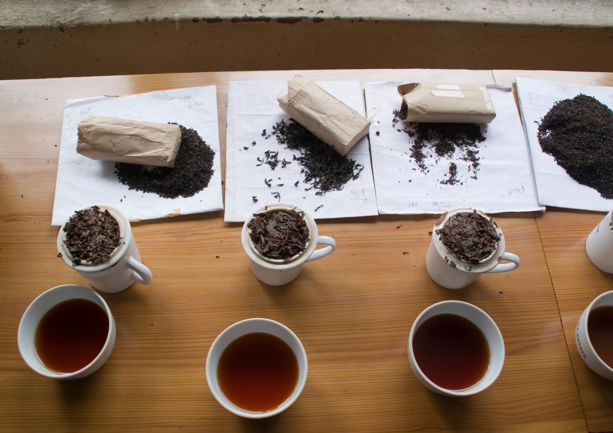 Tea tasting image 2