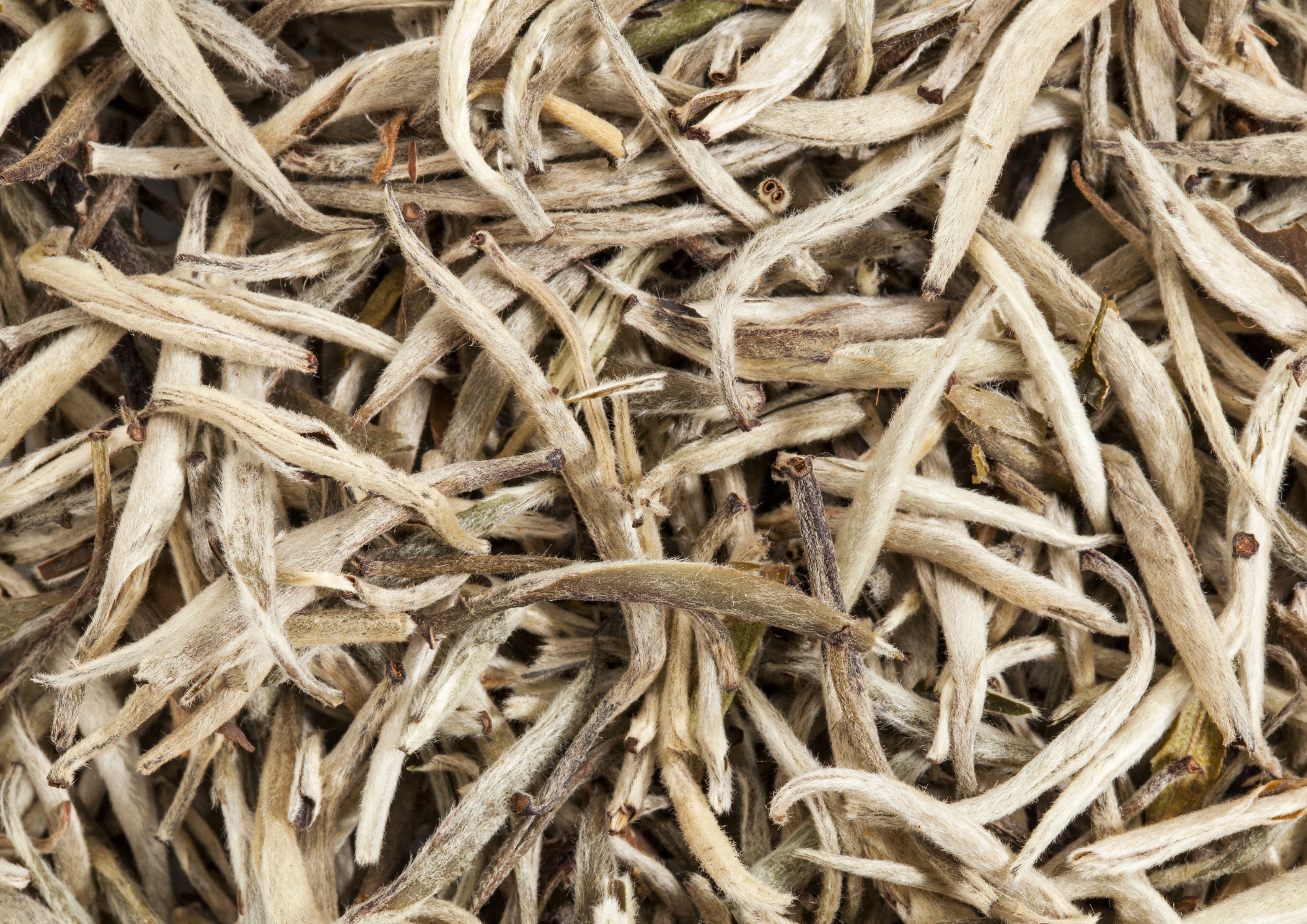 Tea fermentation image 3